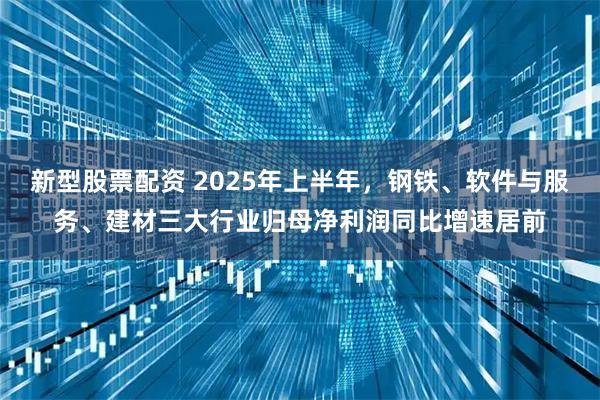 新型股票配资 2025年上半年，钢铁、软件与服务、建材三大行业归母净利润同比增速居前