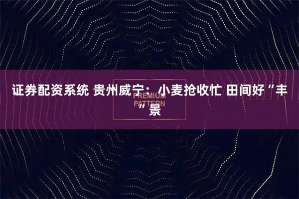 证券配资系统 贵州威宁：小麦抢收忙 田间好“丰”景